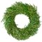 Northlight Green Foliage Artificial Spring Wreath, 20-Inch